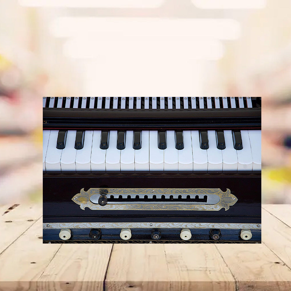 Binas Harmonium Traveler Hand Pumped /Portable/Folding 9 Stops- 5 Main & 4 Drones, 3½ Octaves, Teak Color, Coupler, Gig Bag, Bass-Male Reed - 440 Hz, Suitable for Yoga, Bhajan, Kirtan, etc