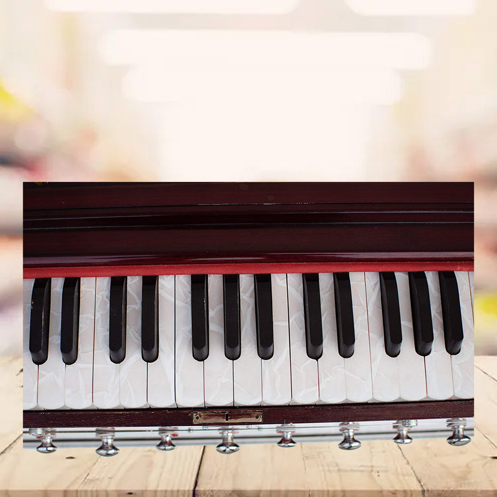 Binas Harmonium Traveler Hand Pumped/Portable/Folding 9 Stops- 5 Main & 4 Drones, 3½ Octaves, Teak Color, Coupler, Gig Bag, Bass-Male Reed - 440 Hz, Suitable for Yoga, Bhajan, Kirtan, etc